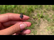 Charger et lire la vidéo dans la visionneuse de la Galerie, Perles en hématite, forme coeur