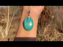 Charger et lire la vidéo dans la visionneuse de la Galerie, Bélière renard