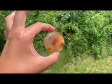 Charger et lire la vidéo dans la visionneuse de la Galerie, Agate 6
