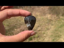 Charger et lire la vidéo dans la visionneuse de la Galerie, Ammonite noire 14