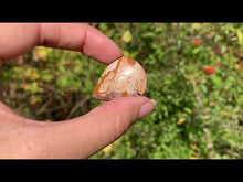 Charger et lire la vidéo dans la visionneuse de la Galerie, Jaspe Paysage 15