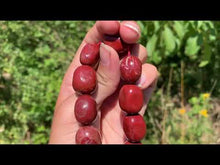 Charger et lire la vidéo dans la visionneuse de la Galerie, Perles en jaspe rouge, galet de taille moyenne