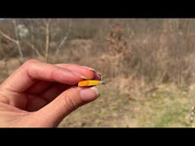 Charger et lire la vidéo dans la visionneuse de la Galerie, VENDU Jaspe bumblebee 9