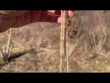 Charger et lire la vidéo dans la visionneuse de la Galerie, Perles en quartz à inclusions de rutile facettées entre 2 et 5,5mm