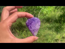 Charger et lire la vidéo dans la visionneuse de la Galerie, Charoïte 21