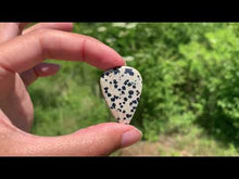Charger et lire la vidéo dans la visionneuse de la Galerie, VENDU Jaspe Dalmatien 5