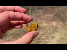 Charger et lire la vidéo dans la visionneuse de la Galerie, VENDU Oeil de tigre 9