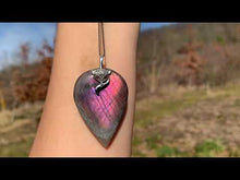 Charger et lire la vidéo dans la visionneuse de la Galerie, Bélière renard