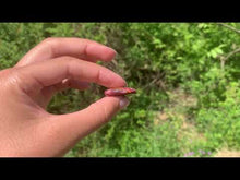 Charger et lire la vidéo dans la visionneuse de la Galerie, VENDU Jaspe mookaite 15