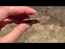 Charger et lire la vidéo dans la visionneuse de la Galerie, Jaspe Noreena 7