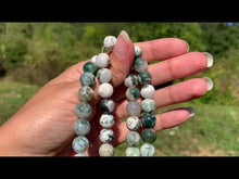 Charger et lire la vidéo dans la visionneuse de la Galerie, Perles en agate arbres entre 4 et 12mm