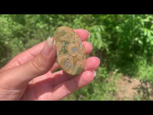 Charger et lire la vidéo dans la visionneuse de la Galerie, Rhyolite 1