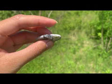 Charger et lire la vidéo dans la visionneuse de la Galerie, VENDU Agate dendritique 29