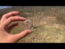 Charger et lire la vidéo dans la visionneuse de la Galerie, Ammonite 3
