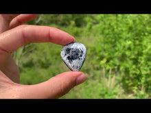 Charger et lire la vidéo dans la visionneuse de la Galerie, VENDU Agate dendritique 5