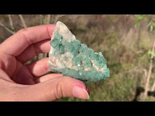 Charger et lire la vidéo dans la visionneuse de la Galerie, VENDU Fluorite brut 6