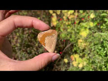 Charger et lire la vidéo dans la visionneuse de la Galerie, Jaspe Paysage 10