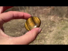 Charger et lire la vidéo dans la visionneuse de la Galerie, VENDU Oeil de tigre 4