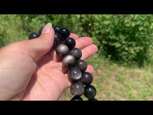 Charger et lire la vidéo dans la visionneuse de la Galerie, Perles en obsidienne argentée entre 4 et 18mm OAU