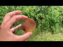 Charger et lire la vidéo dans la visionneuse de la Galerie, VENDU Agate 8