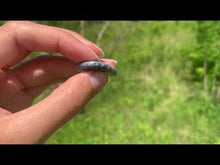 Charger et lire la vidéo dans la visionneuse de la Galerie, VENDU Agate dendritique 31