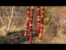 Charger et lire la vidéo dans la visionneuse de la Galerie, Perles en jaspe mookaite, disque / heichi 2 x 6mm