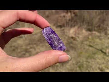 Charger et lire la vidéo dans la visionneuse de la Galerie, Charoïte 12