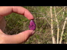 Charger et lire la vidéo dans la visionneuse de la Galerie, VENDU Rubis Zoïsite (Anyolite) 1