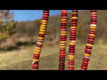 Charger et lire la vidéo dans la visionneuse de la Galerie, Perles en jaspe mookaite, disque / heichi 2 x 6mm