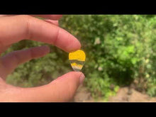 Charger et lire la vidéo dans la visionneuse de la Galerie, VENDU Jaspe Bumblebee 19