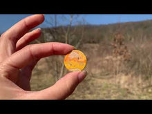Charger et lire la vidéo dans la visionneuse de la Galerie, VENDU Jaspe bumblebee 4