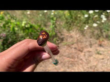 Charger et lire la vidéo dans la visionneuse de la Galerie, VENDU Agate de Feu 4