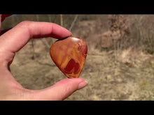 Charger et lire la vidéo dans la visionneuse de la Galerie, Jaspe Noreena 13