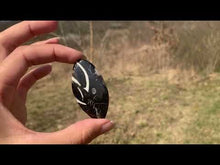 Charger et lire la vidéo dans la visionneuse de la Galerie, VENDU Ammonite noire 10
