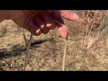 Charger et lire la vidéo dans la visionneuse de la Galerie, Perles en quartz rutile facettées 3 x 4mm