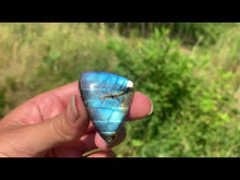 Charger et lire la vidéo dans la visionneuse de la Galerie, VENDU Labradorite 68