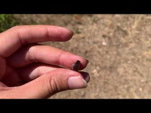 Charger et lire la vidéo dans la visionneuse de la Galerie, VENDU Agate de Feu 10