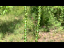Charger et lire la vidéo dans la visionneuse de la Galerie, Perles en péridot entre 2 et 5mm