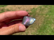 Charger et lire la vidéo dans la visionneuse de la Galerie, Labradorite, pierre roulée