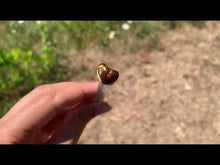 Charger et lire la vidéo dans la visionneuse de la Galerie, VENDU Agate de Feu 11