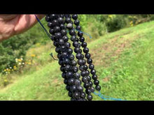 Charger et lire la vidéo dans la visionneuse de la Galerie, Perles en iolite entre 4 et 10mm IT