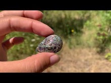 Charger et lire la vidéo dans la visionneuse de la Galerie, VENDU Nacre / Abalone 33