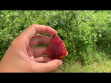 Charger et lire la vidéo dans la visionneuse de la Galerie, VENDU Agate 3