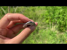 Charger et lire la vidéo dans la visionneuse de la Galerie, VENDU Agate dendritique 9