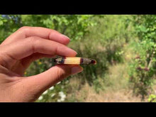 Charger et lire la vidéo dans la visionneuse de la Galerie, Septaria 6