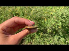 Charger et lire la vidéo dans la visionneuse de la Galerie, Jaspe pistache 1