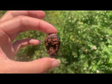 Charger et lire la vidéo dans la visionneuse de la Galerie, VENDU Obsidienne Peanut 2