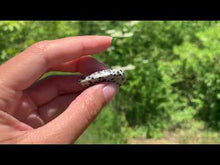 Charger et lire la vidéo dans la visionneuse de la Galerie, VENDU Jaspe Dalmatien 6