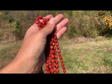Charger et lire la vidéo dans la visionneuse de la Galerie, Perles en jaspe rouge, forme diamant entre 6 et 10mm