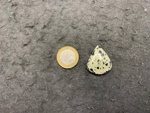 Charger l'image dans la galerie, VENDU Jaspe Dalmatien 2